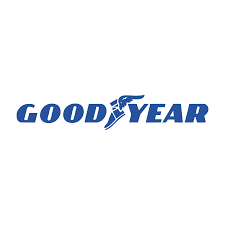 Goodyear P/LT Commercial Tires