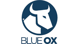 Blue Ox RV Upgrades