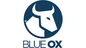 Blue Ox RV Upgrades